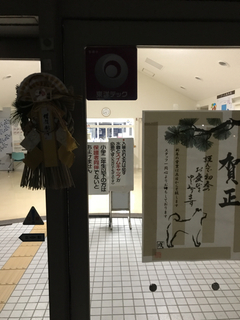 6639148C-BFC0-4A72-A898-0A49F4E08711.jpg