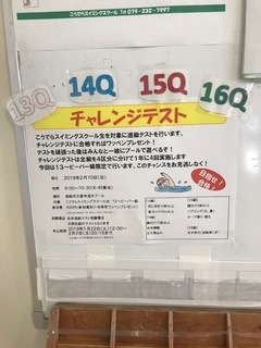 IMG_2346.JPG
