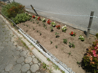 P6100060.JPG