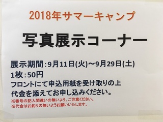 image1.jpeg